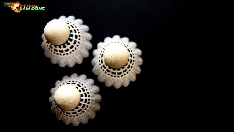 Bí Quyết Phòng Ngừa Chấn Thương Hiệu Quả