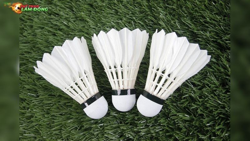 Biện pháp phòng ngừa đau vai hiệu quả