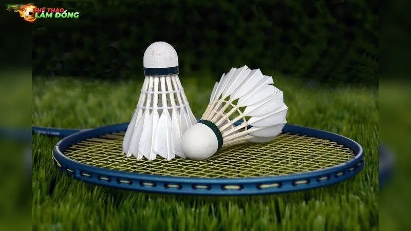 Cách giải quyết nhanh chóng cơn đau