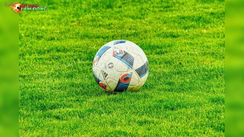 Cảm Xúc Và Áp Lực: Kẻ Thù Tiềm Tàng