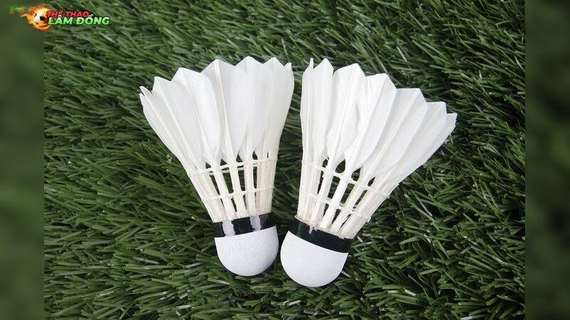 Nguyên Nhân Gây Ra Chấn Thương