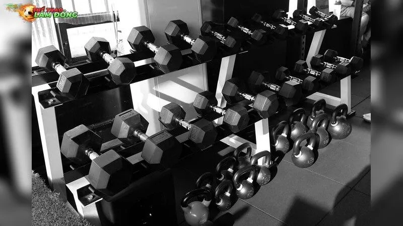 Chấn thương khớp gối do tập tạ – Lời khuyên giúp bạn tránh xa chấn thương