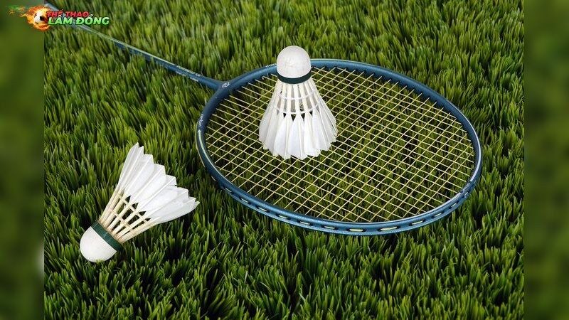 Triệu Chứng Viêm Gân Do Cầu Lông