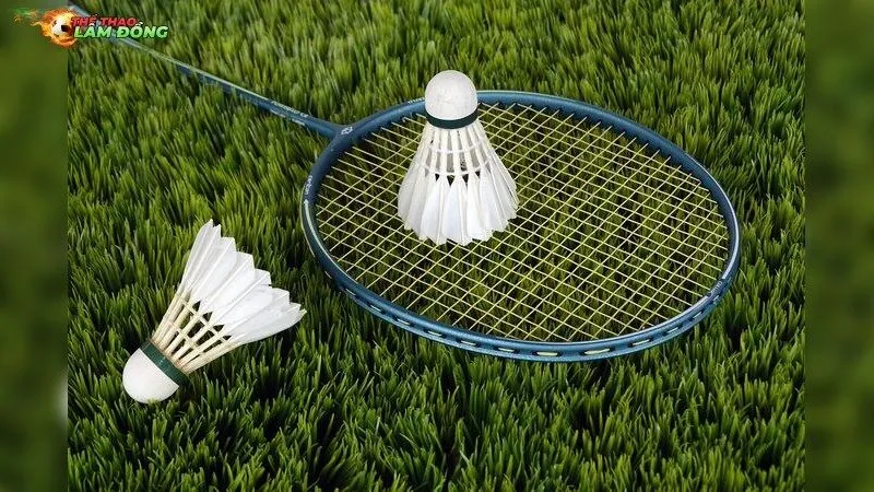 Triệu Chứng Viêm Gân Do Cầu Lông